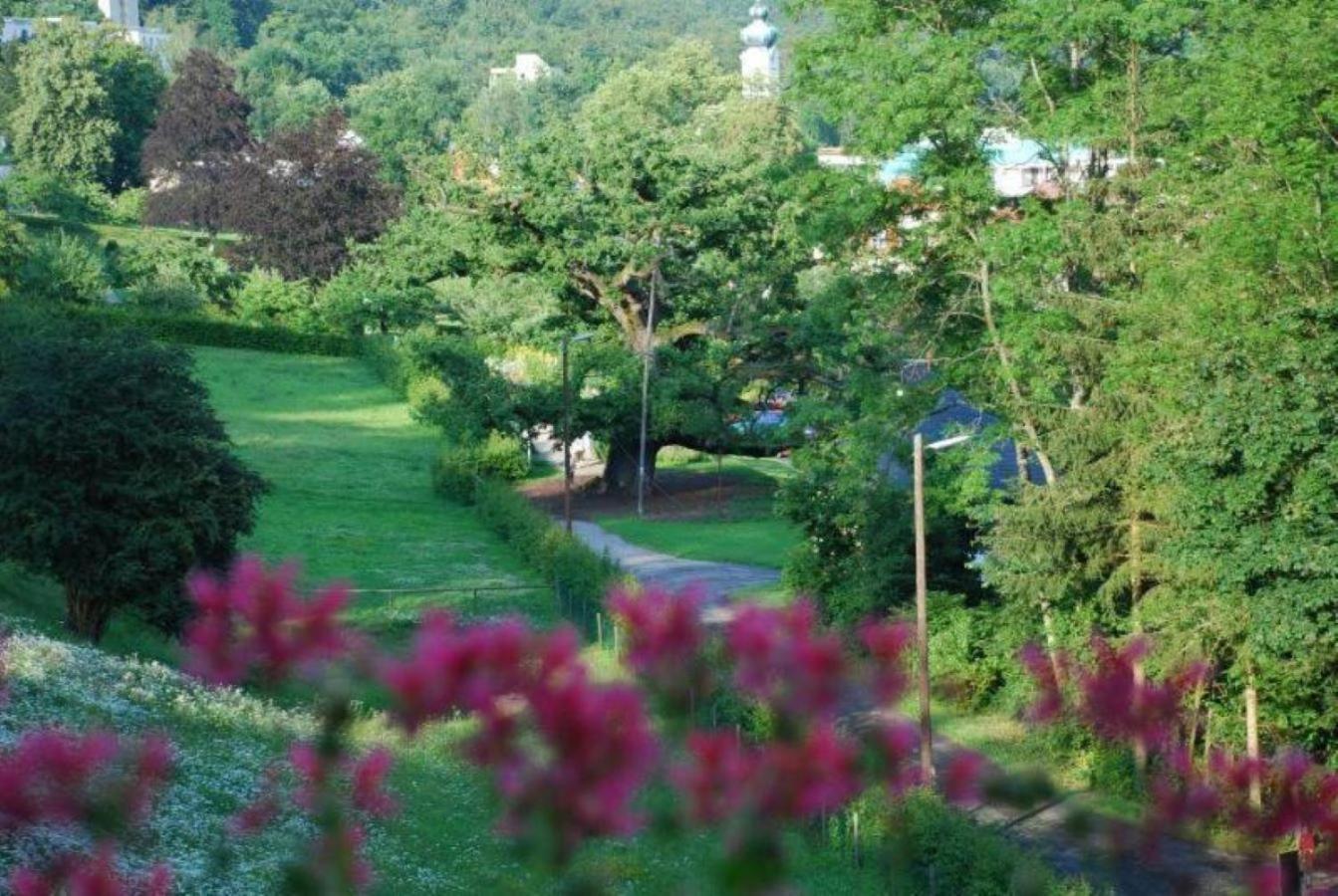 Rhoen Hotel Waldcafe St. Georg 스타츠바드브루케나우 외부 사진