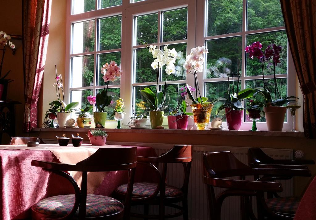 Rhoen Hotel Waldcafe St. Georg 스타츠바드브루케나우 외부 사진