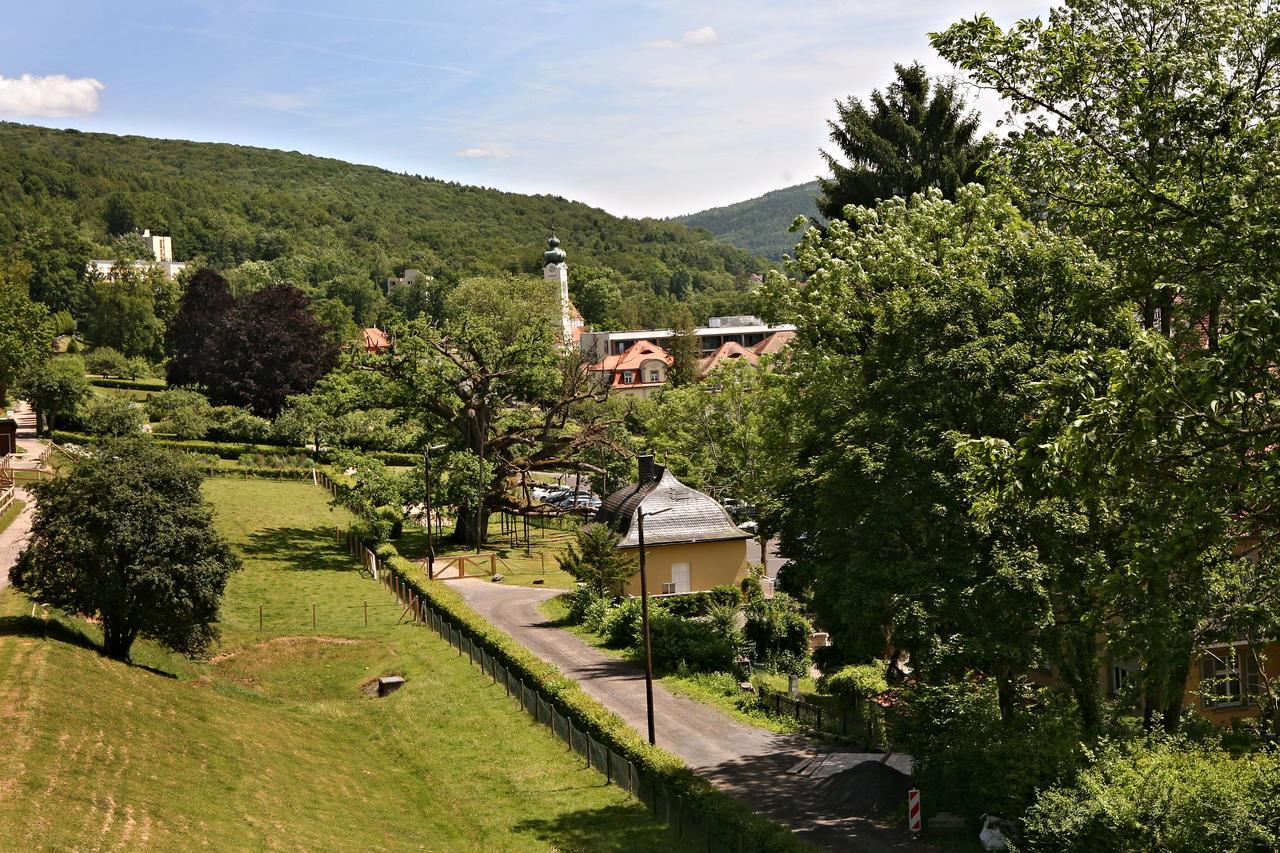 Rhoen Hotel Waldcafe St. Georg 스타츠바드브루케나우 외부 사진